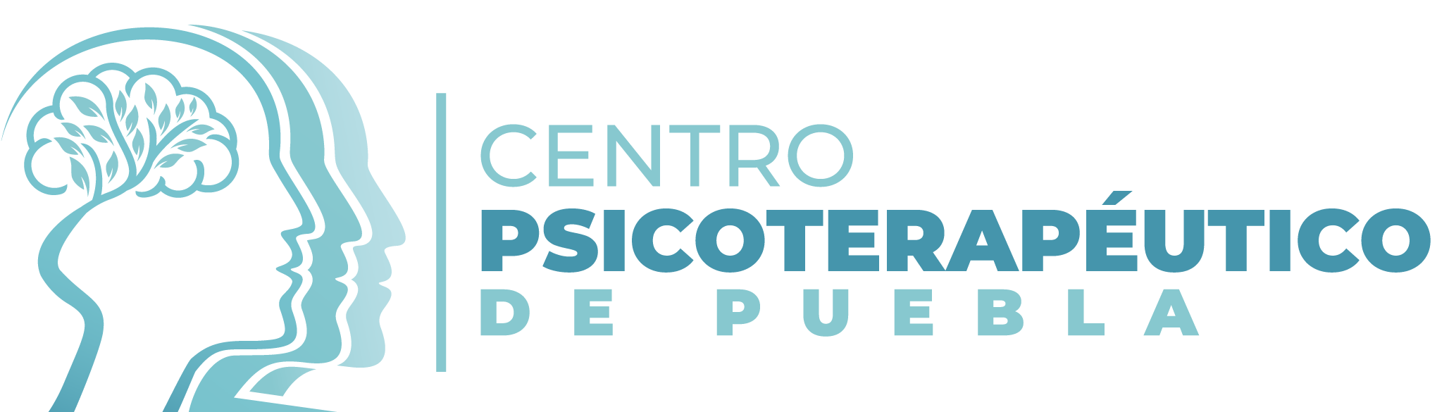 Psicoterapia en Calle 7, #23, San José Vista Hermosa, Puebla, Puebla. - Centro Psicoterapéutico en Puebla